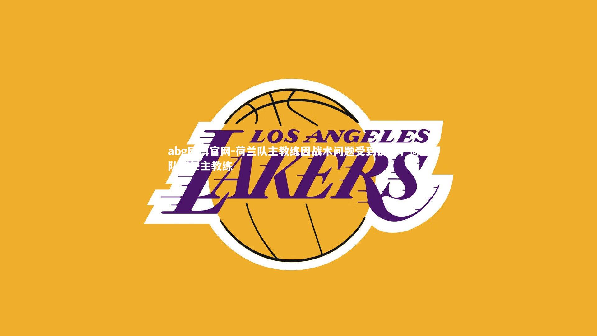 荷兰队主教练因战术问题受到批评，荷兰队新任主教练