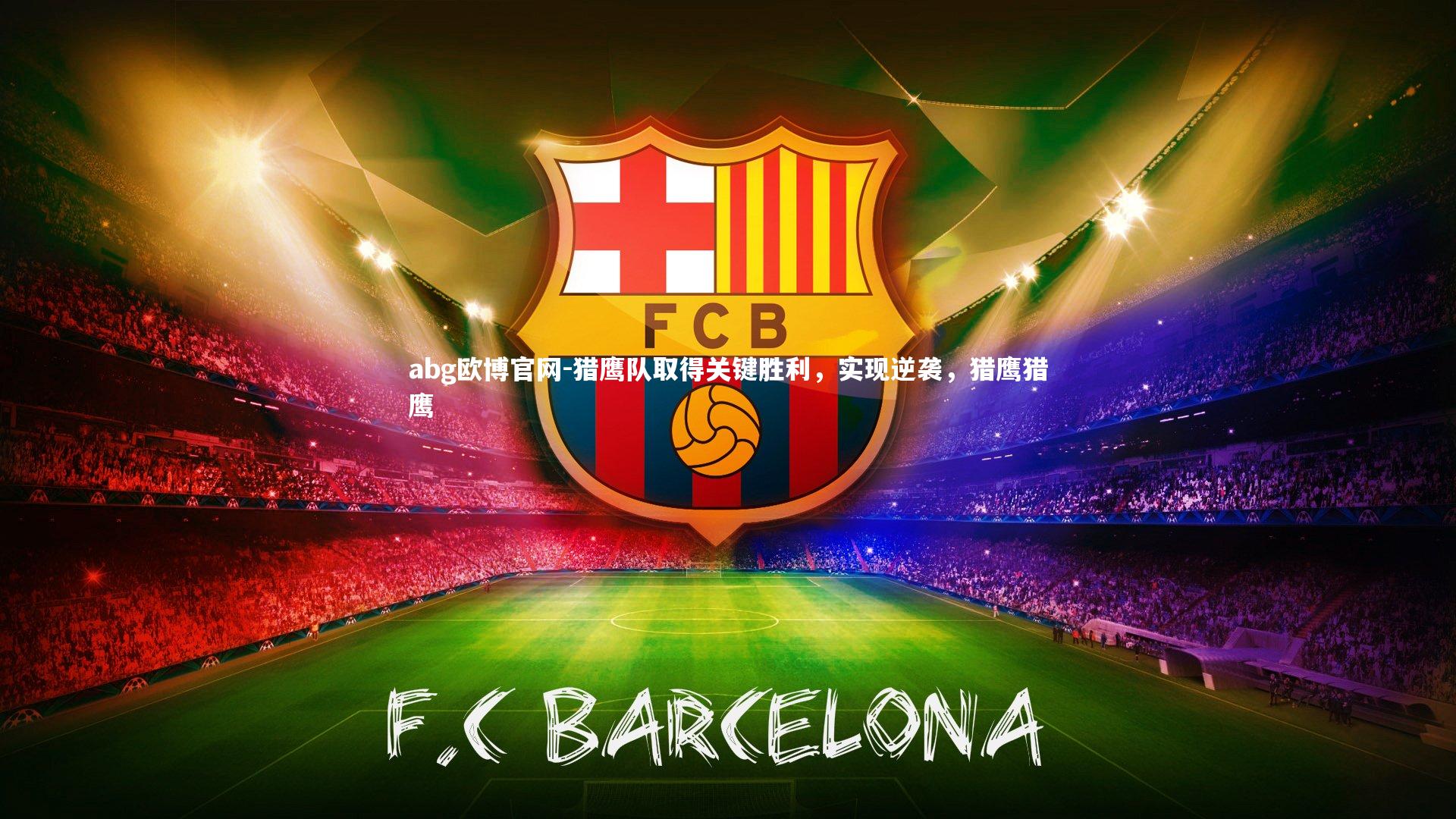 猎鹰队取得关键胜利，实现逆袭，猎鹰猎鹰