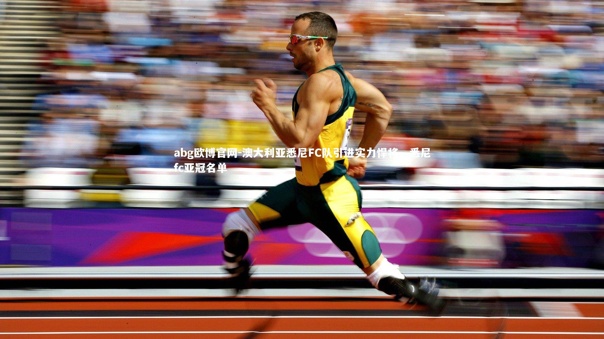澳大利亚悉尼FC队引进实力悍将，悉尼fc亚冠名单