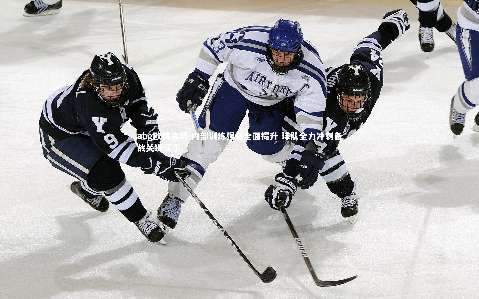 内部训练强度全面提升 球队全力冲刺备战关键赛事